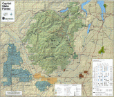 capitol-state-forest-map.gif